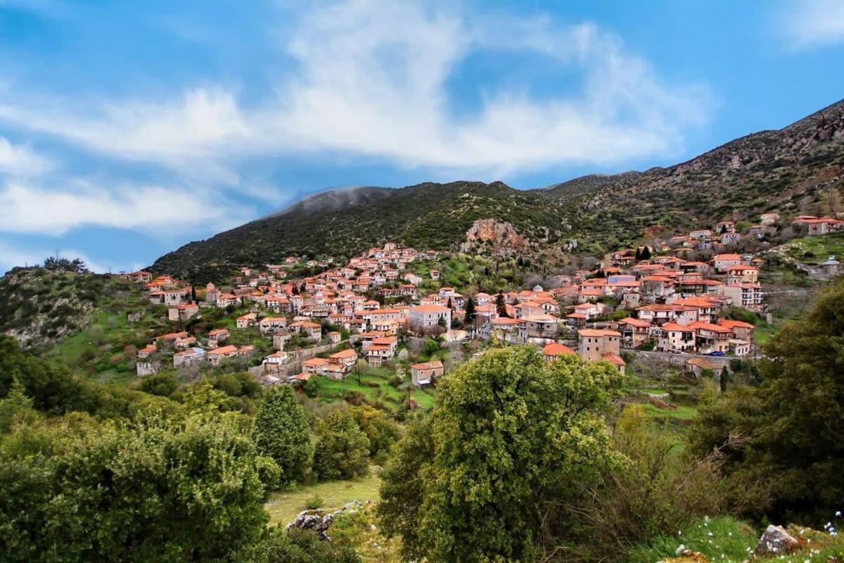 Stemnitsa Stone Residence - Comfy Mountain Getaway المظهر الخارجي الصورة
